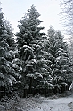 Bieszczady 12.2007 043